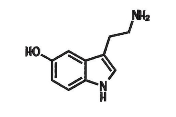 Serotonin Chemistry Symbol: A Review for Etsy Sellers
