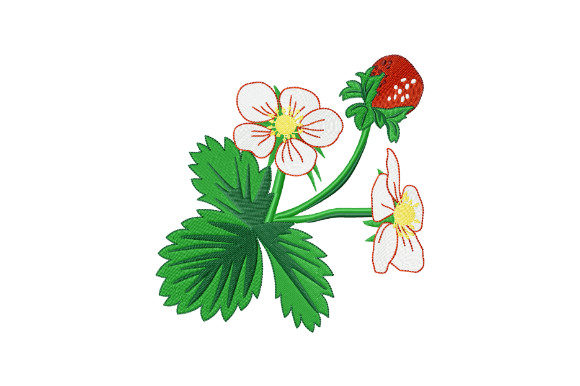 Wild Strawberry: A Designer's Review for Real Projects